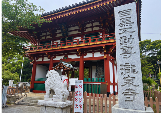 龍舞茶とともに祈る ― 目黒不動尊ご縁日護摩で願ったこと